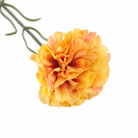carnation_bulk_event_supply