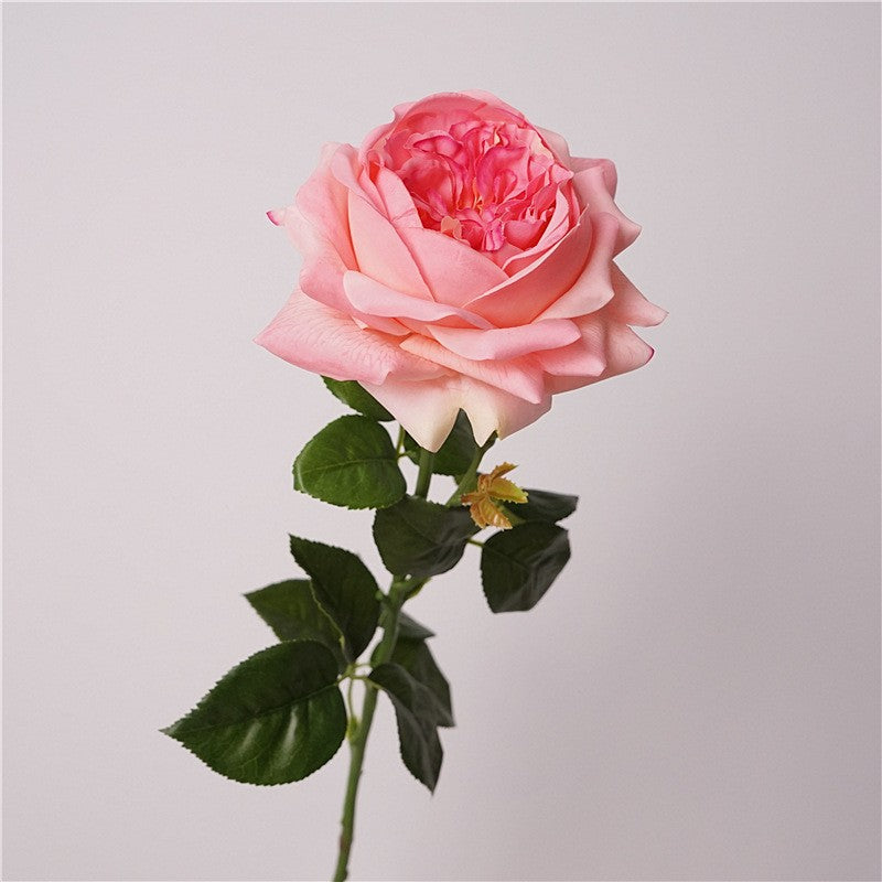 ivory_garden_rose_for_diy_floral_project