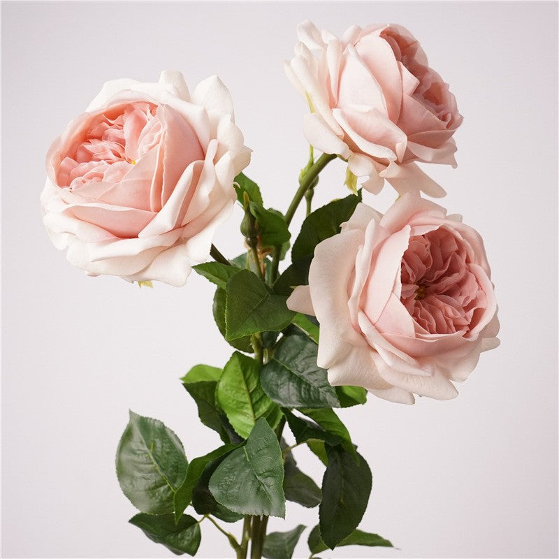 real_touch_garden_rose_texture_detail