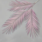 dusty_blush_areca_leaf_close_up