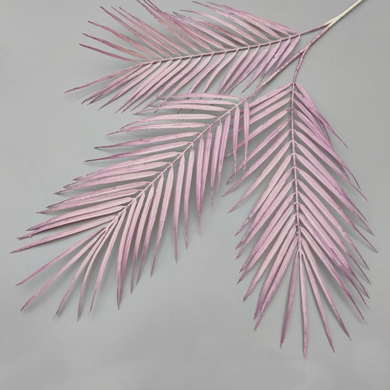 dusty_blush_areca_leaf_close_up