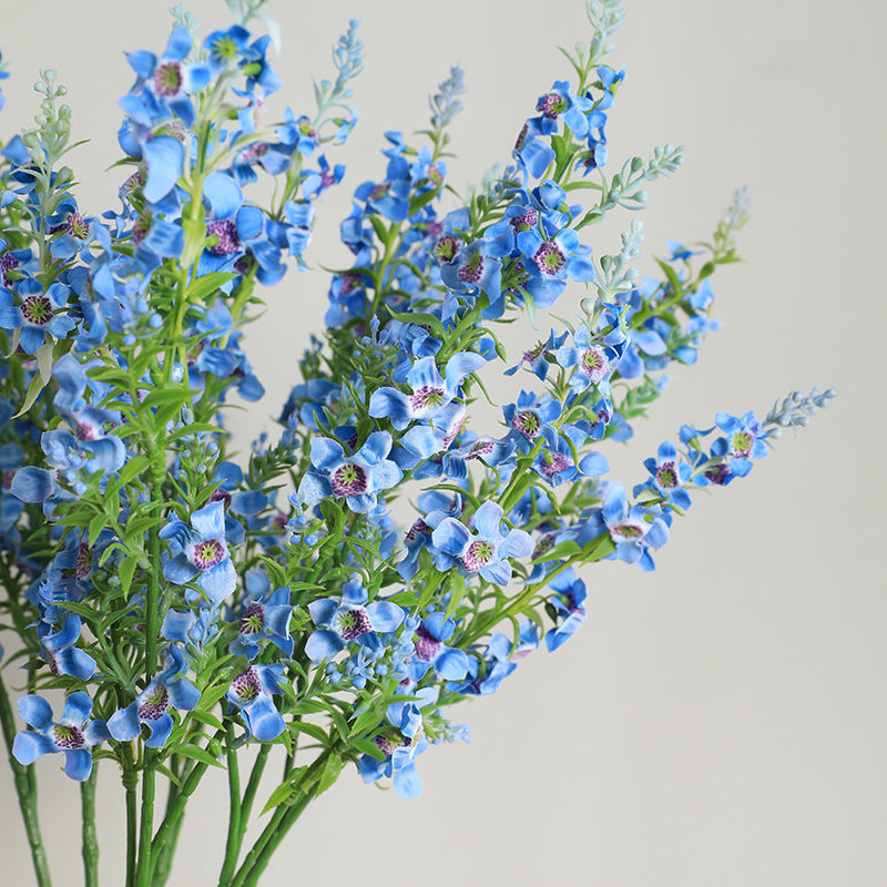 cream_delphinium_branch_stem_video