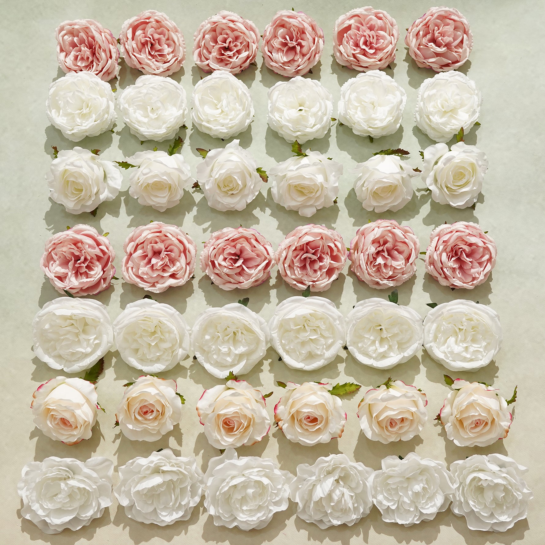 mixed-rose-blooms-flat-lay