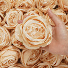 bright color rose flower head material