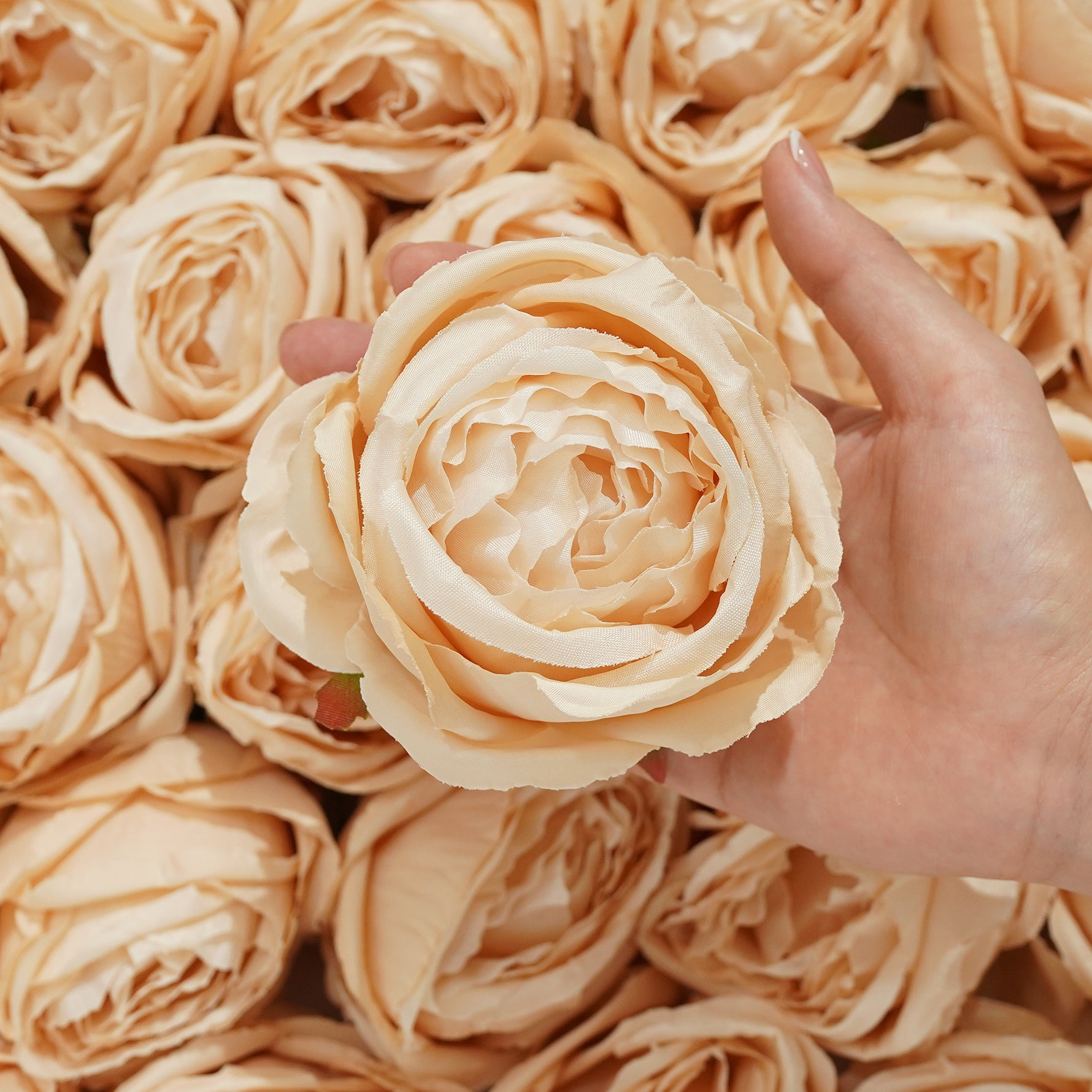 bright color rose flower head material