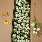 Off white artificial baby breath stems
