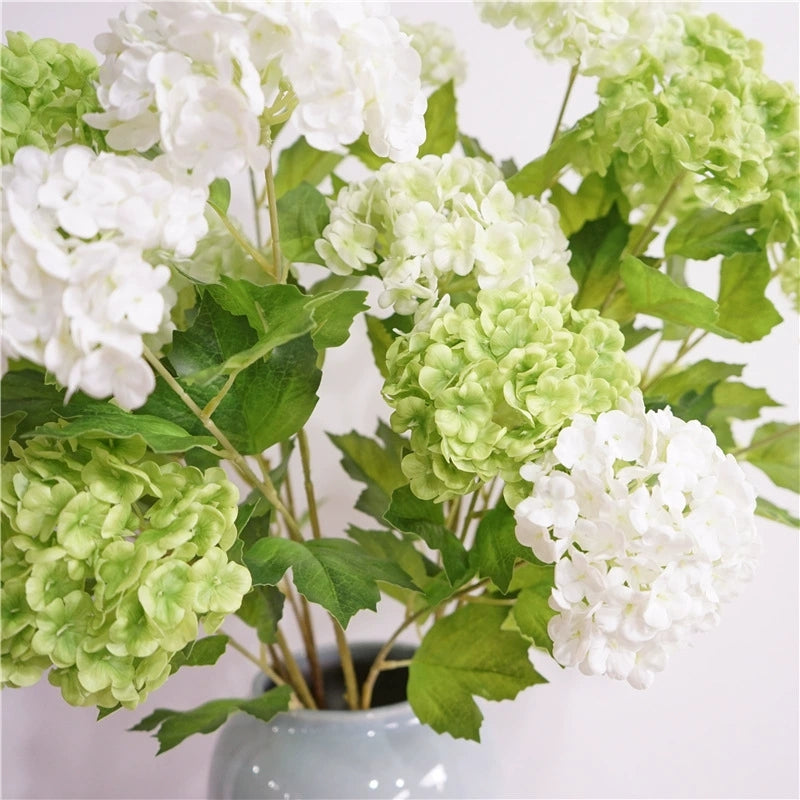 White green hydrangea stem closeup product photo