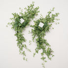 faux‑floral‑swags‑for‑birch‑green‑white‑ceremony‑decor
