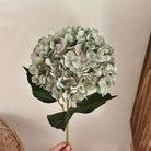 faux-hydrangea-flower-bloom-petal-texture
