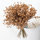 decor_preserved_leaf_light_brown
