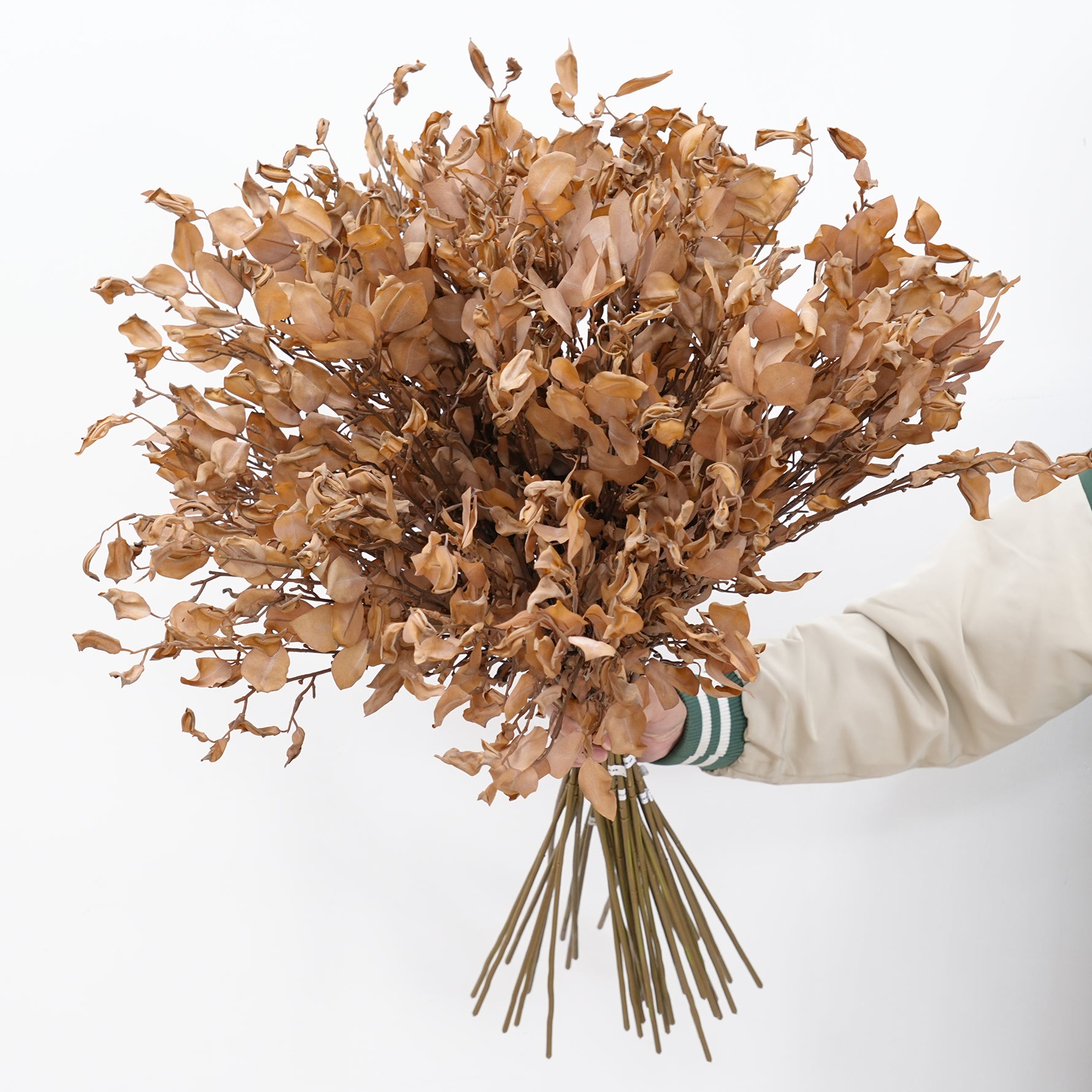decor_preserved_leaf_light_brown