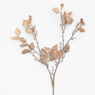 botanical_dried_leaf_bouquet