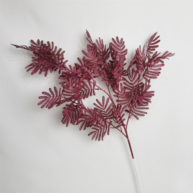 mixed_mimosa_stems_color_collection