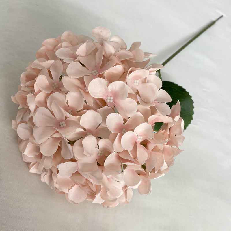 multi-color-hydrangea-flower-set