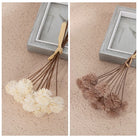 farmhouse-dried-botanical-stems-vase-setup
