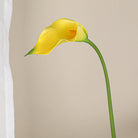Yellow Calla Lily Floral Arrangement