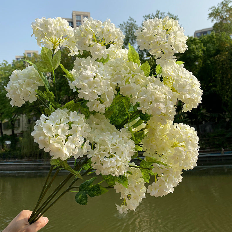 soft_pink_hydrangea_branch_nature_scene