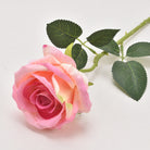 mauve_rose_vase_display