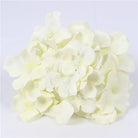 white flower head 
