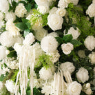 White green flower arch shot under natural bright daylight