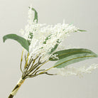soft_studio_shot_frosted_berry_spray