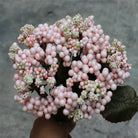 dark_purple_artificial_berry_bunch