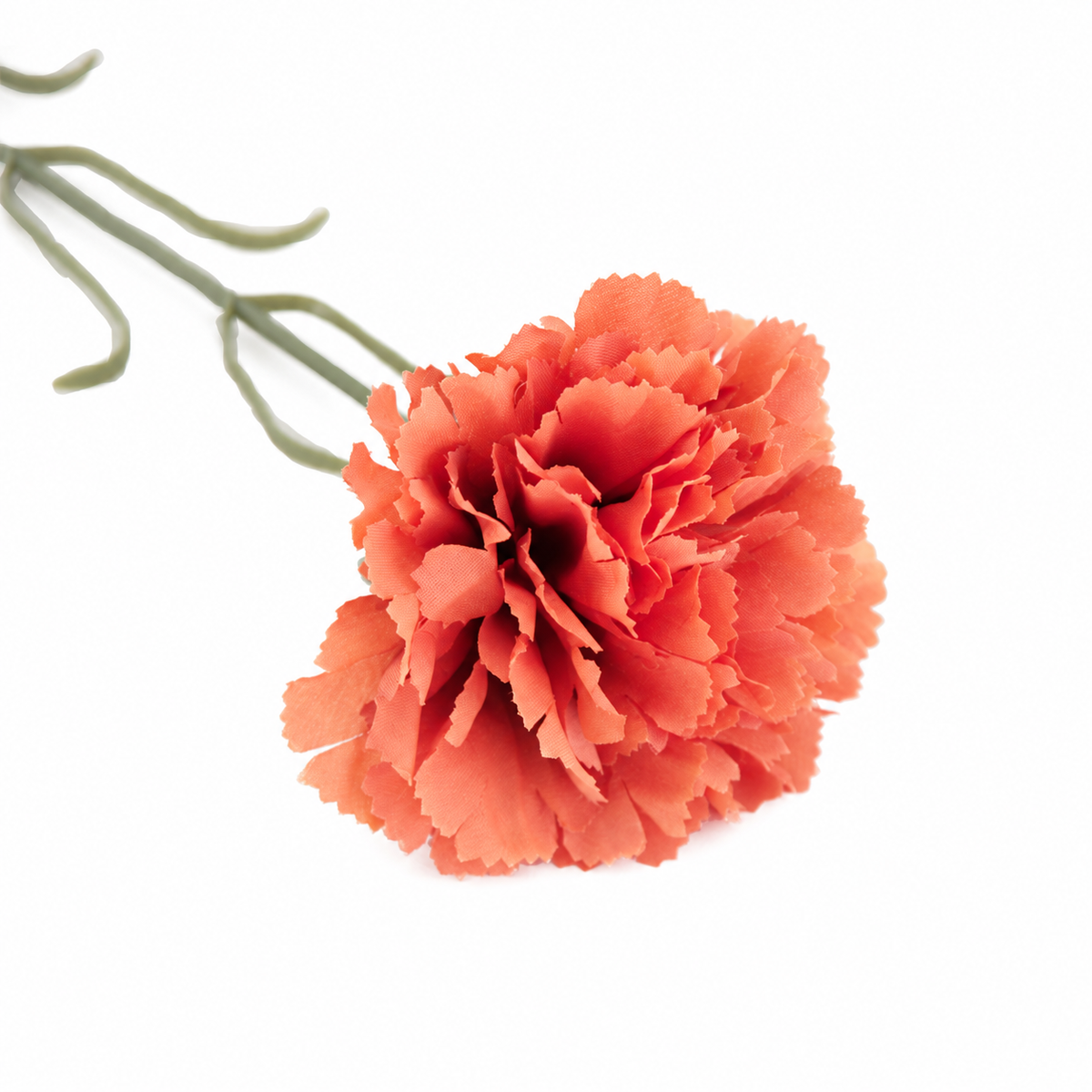 carnation_tulle_photo_set