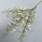 earthy_shade_orchid_spray_set