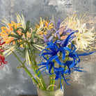 cream_spider_lily_long_sprig