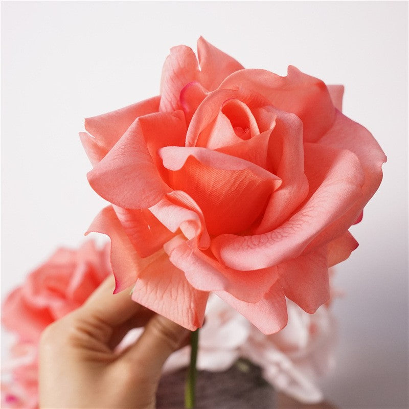 pale_ivory_rose_thin_stem_shot