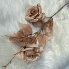 two_tone_mocha_rose_on_fur