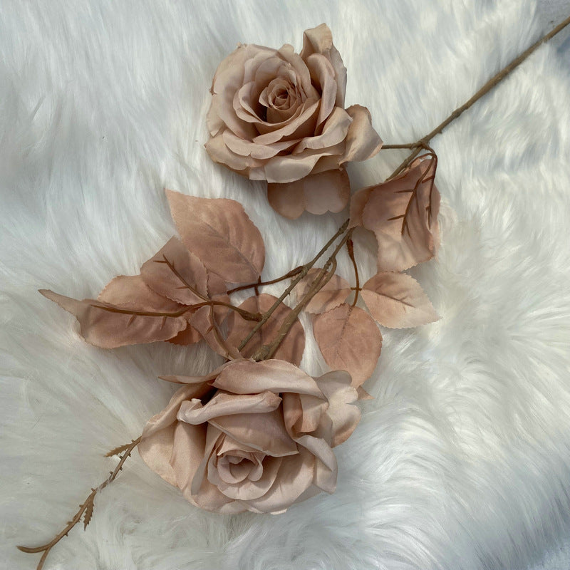 two_tone_mocha_rose_on_fur