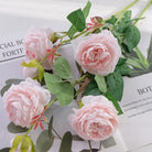 wedding_peony_blush_bloom