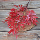 willow_foliage_natural_green
