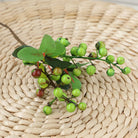 single_blue_berry_stem_detail_view