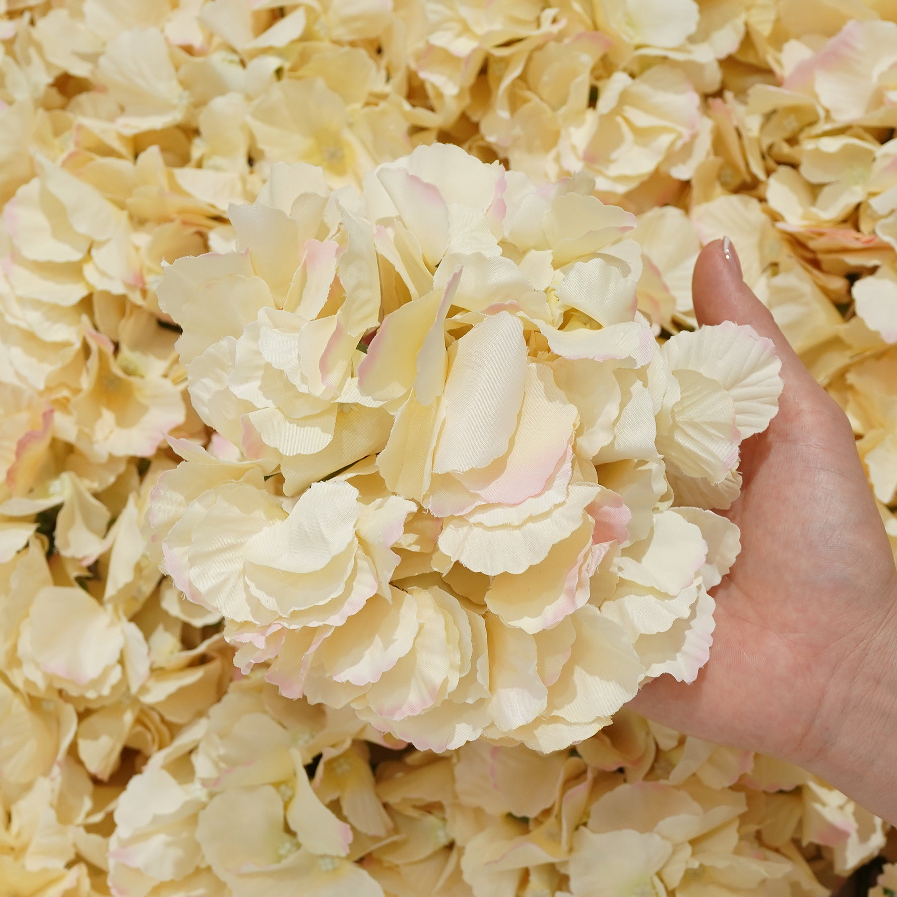 hydrangea-flower-head-material