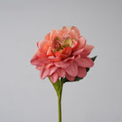 pink_dahlia_stem_with_green_leaves