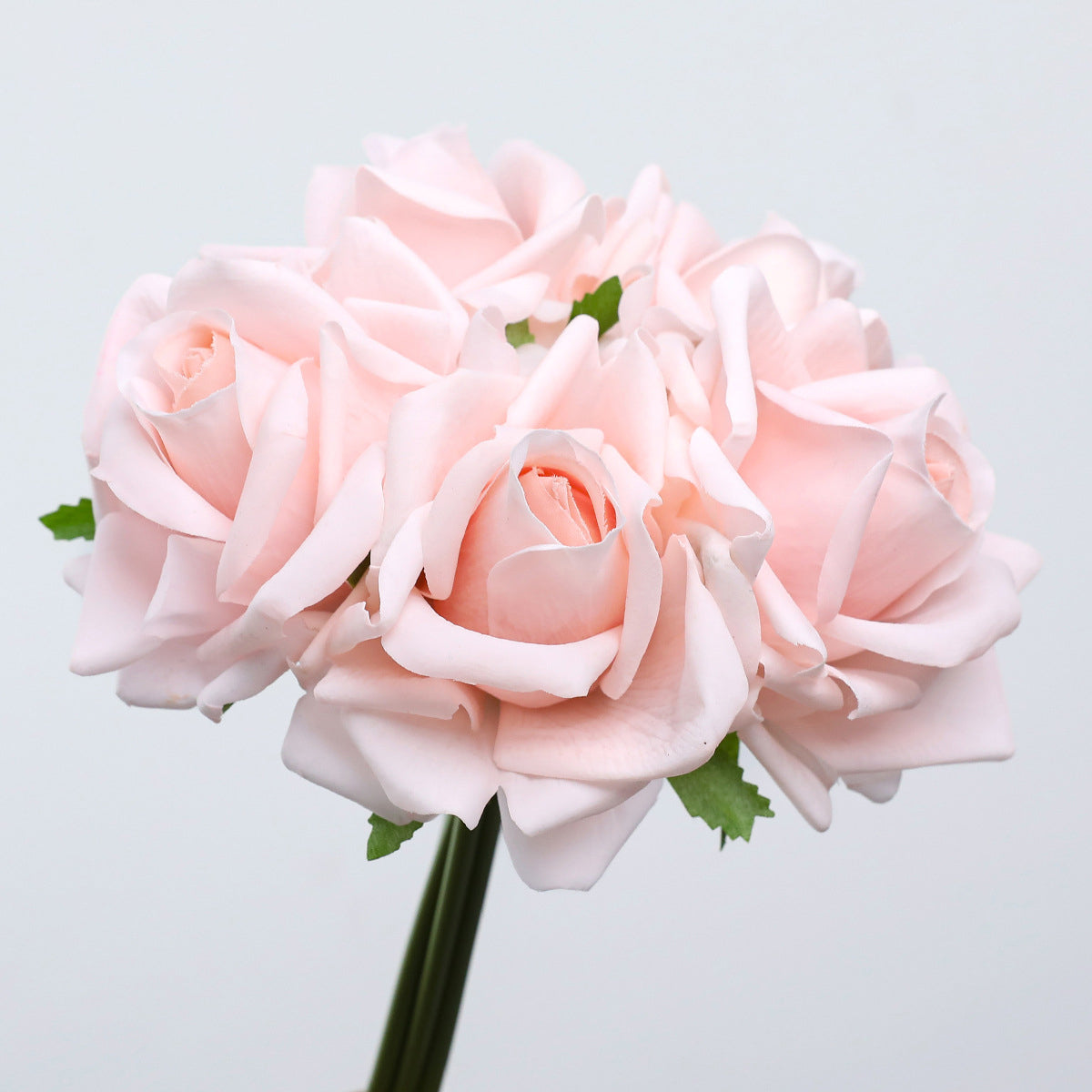 single_rose_bundle_clean_background