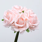 single_rose_bundle_clean_background