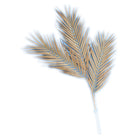 cream_areca_frond_home_decor