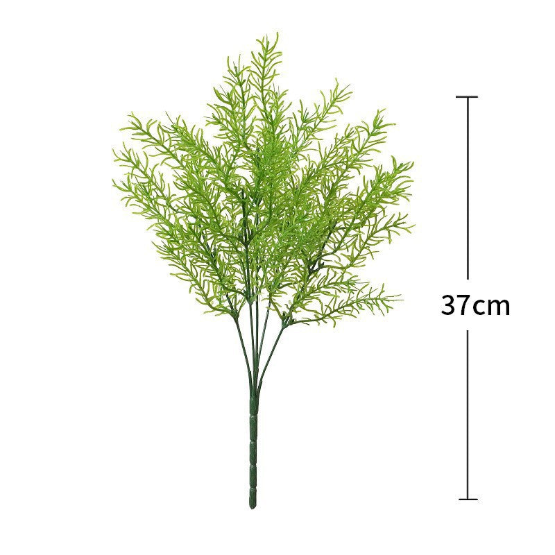 asparagus_fern_stem_wreath_making