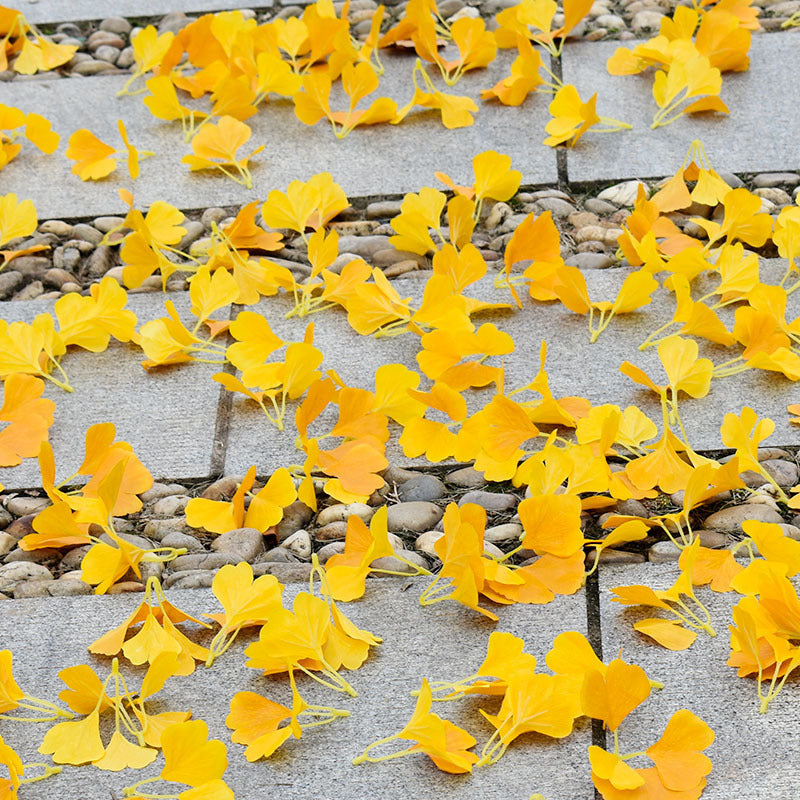 tangerine_gold_silk_ginkgo_leaf_spray