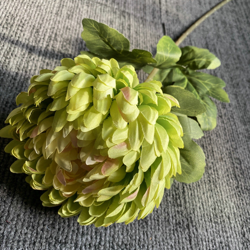 burgundy_wine_chrysanthemum_stem