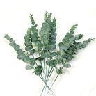 rustic_sage_eucalyptus_single_branch