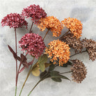 deep_fuchsia_hydrangea_pom_pom_bloom