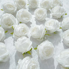 rainbow rose head floral supply