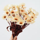 cream-artificial-poppy-flowers 