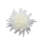 Mixed faux spider mum flower heads
