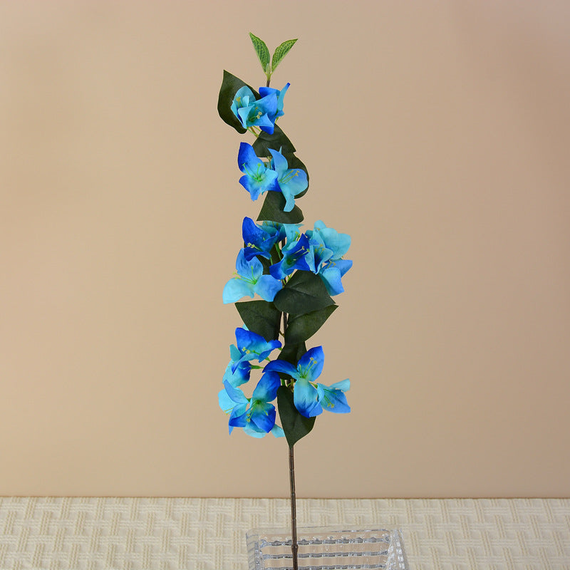 green_leaf_bougainvillea_detail
