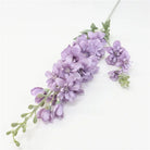 purple delphinium
